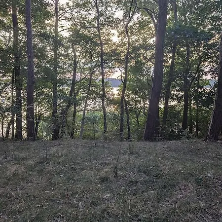 Hébergement de vacances Haus Am Groß Köris