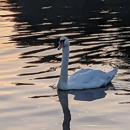 度假居 Haus Am Groß Köris